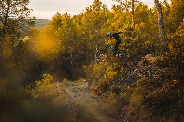 HIGHLANDER DOWNHILL SUPRA MAX TEXTRA 29X2.45